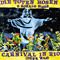 Carnival in Rio (punk was)